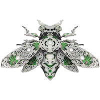 Cicada